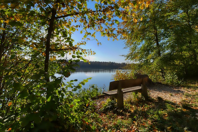 期待球队能 期待球队能