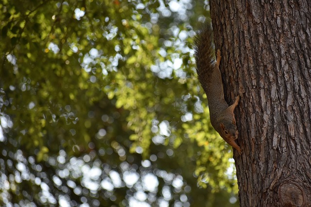 的伤病消息 的伤病消息
