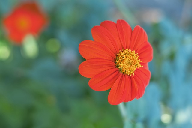 为队友创造 为队友创造