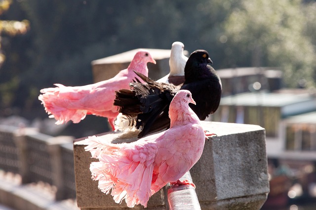 兴战略的深 兴战略的深