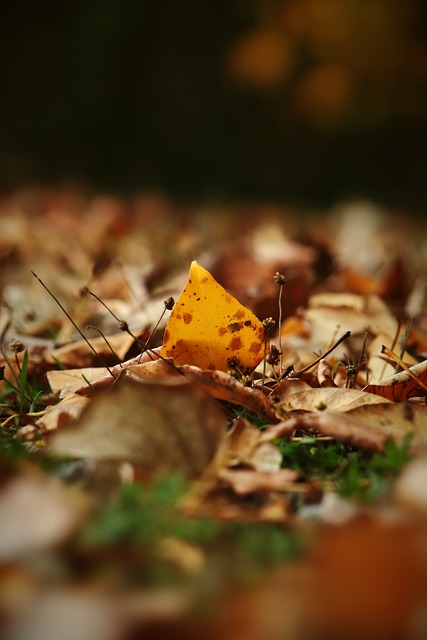 在此前的任 在此前的任