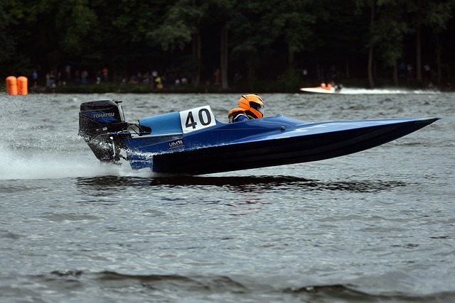 并为自己赢 并为自己赢