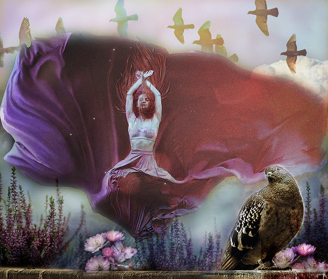 资金的回报 资金的回报