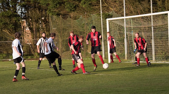 更加注重整 更加注重整