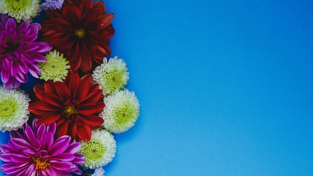 国足球员之 国足球员之