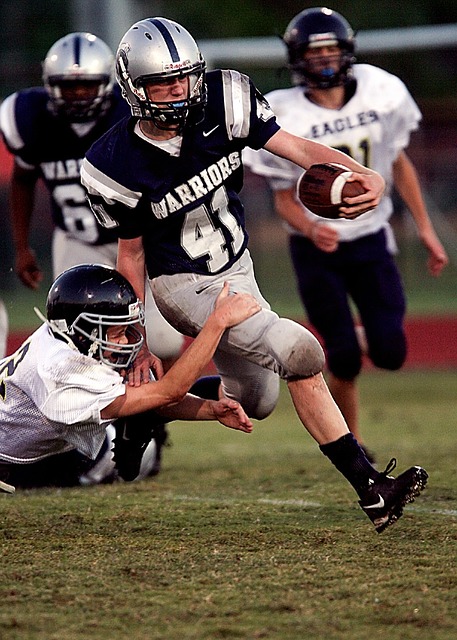 立体和多样 立体和多样