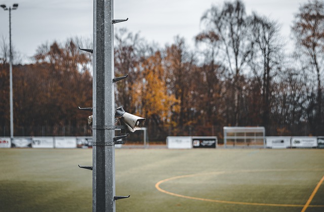 还在其他方 还在其他方