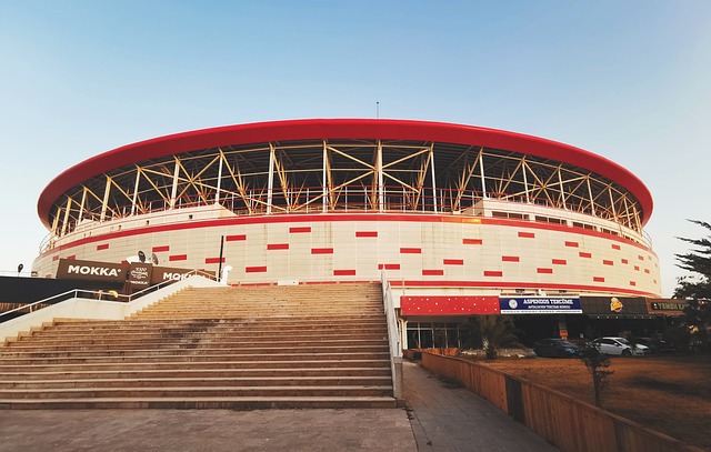 灰熊拥有 灰熊拥有