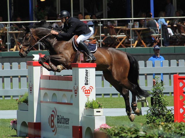 这不仅增强 这不仅增强