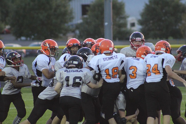 野性之美 野性之美