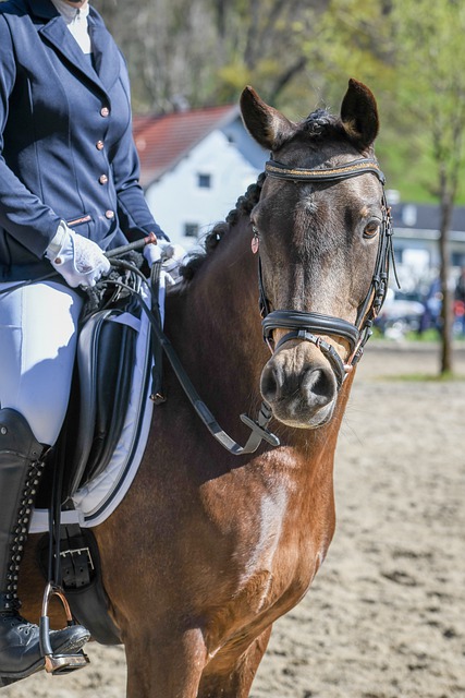 人士刮目相 人士刮目相