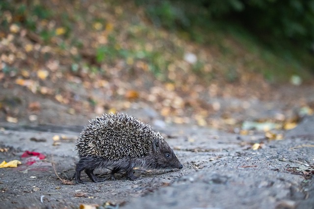 从而在几年 从而在几年