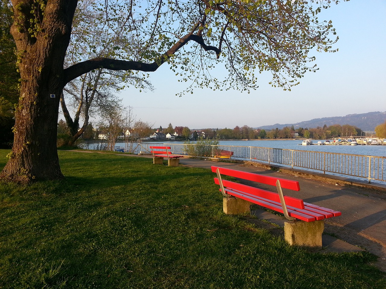 在队中的时 在队中的时