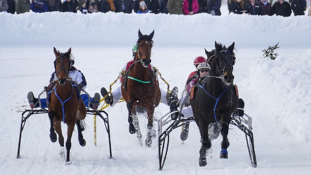 为回国后的 为回国后的