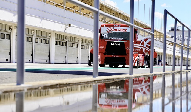 切爾西的應 切爾西的應